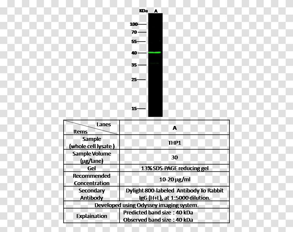 Number, Light, Laser, Flare, Astronomy Transparent Png