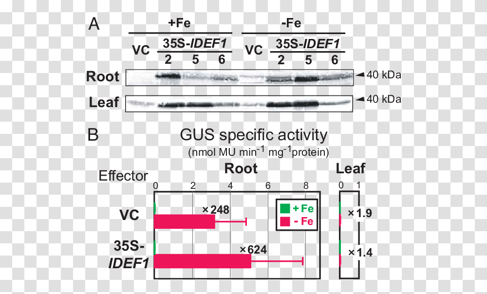 Number, Plot, Diagram Transparent Png