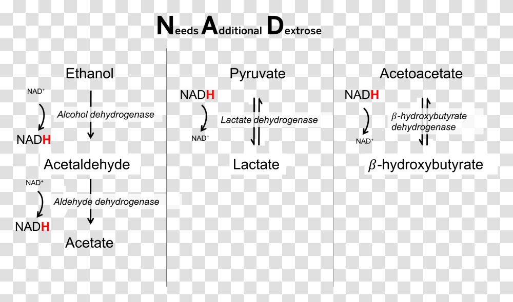 Number, Plot, Business Card, Diagram Transparent Png