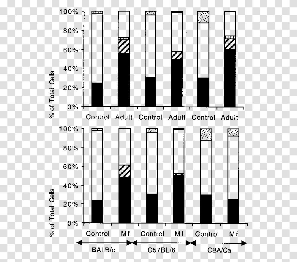 Number, Plot, Road, Keyboard Transparent Png