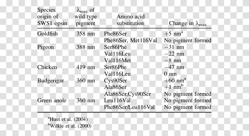 Number, Word, Plot, Menu Transparent Png