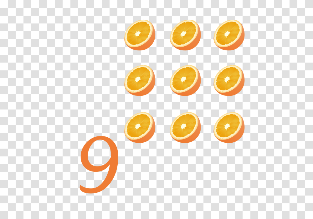 Numbers Alphabets Vector Clip Art One Two Image, Citrus Fruit, Plant, Food, Orange Transparent Png