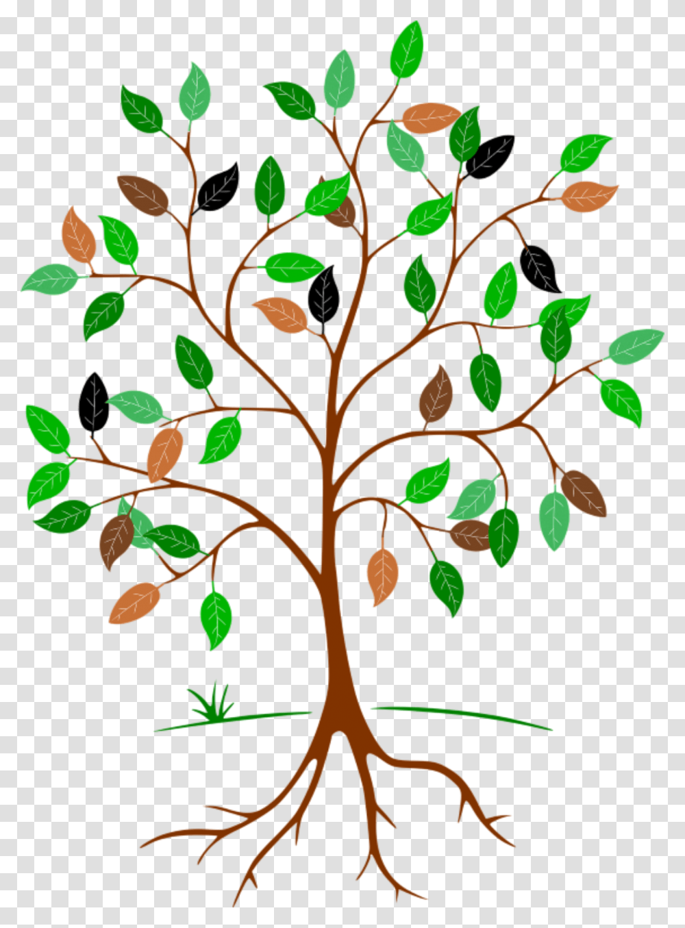 Nurse Philosophy Mind Map, Plant, Leaf, Root, Tree Transparent Png