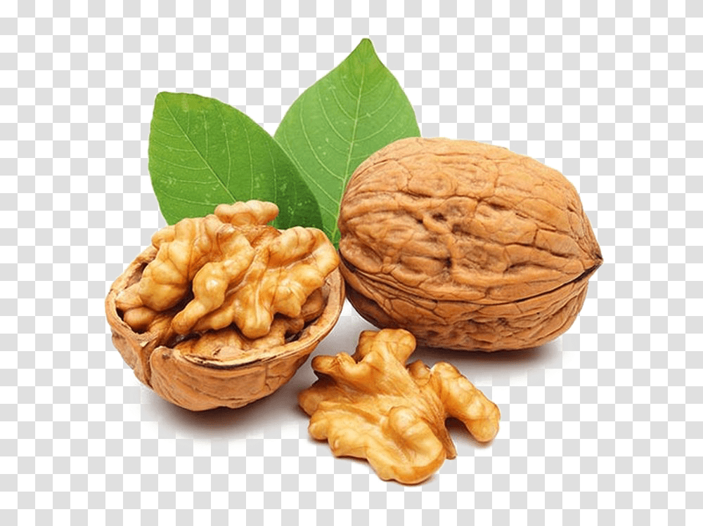 Nut Background Background Nut, Plant, Walnut, Vegetable, Food Transparent Png