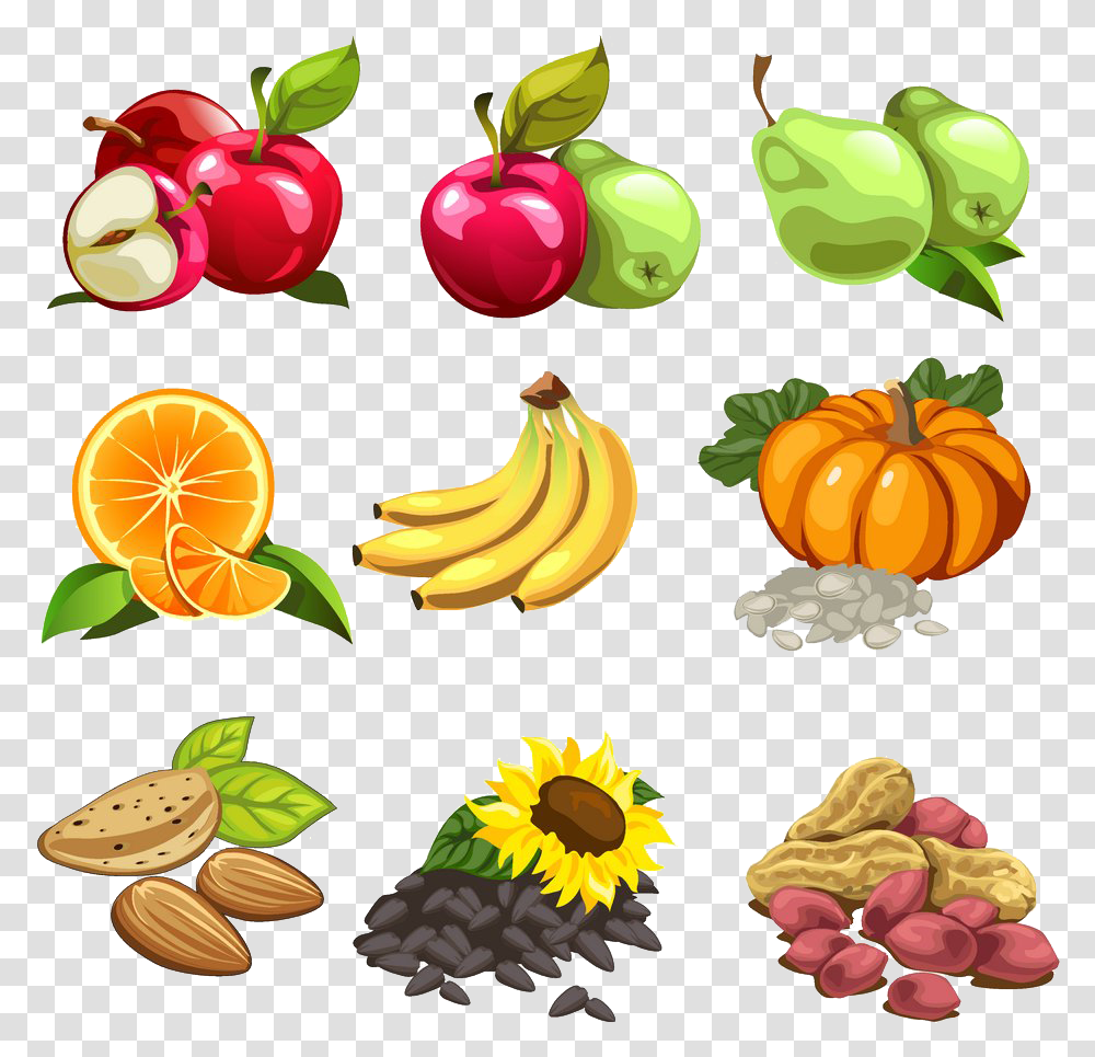 Nut Cartoon Illustration Apple Dibujo De Alimentos, Plant, Fruit, Food, Citrus Fruit Transparent Png