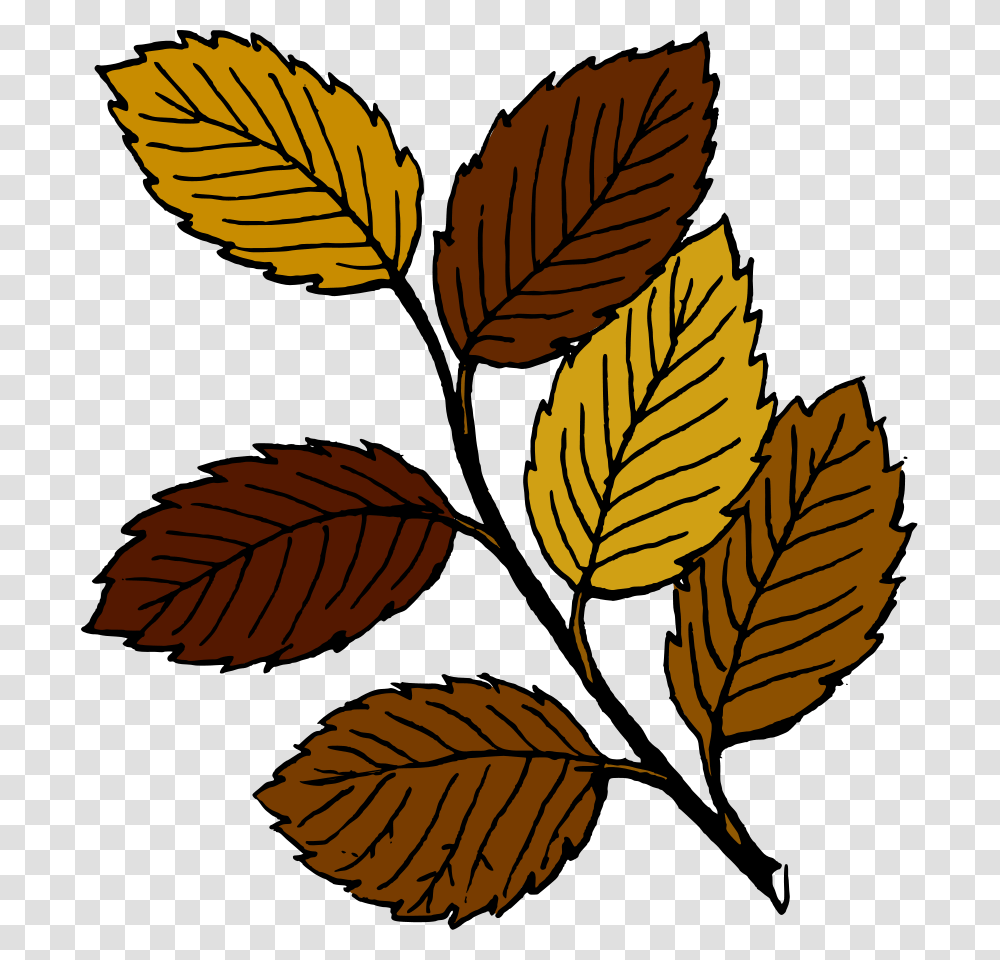 Nut Clip Art, Leaf, Plant, Veins Transparent Png