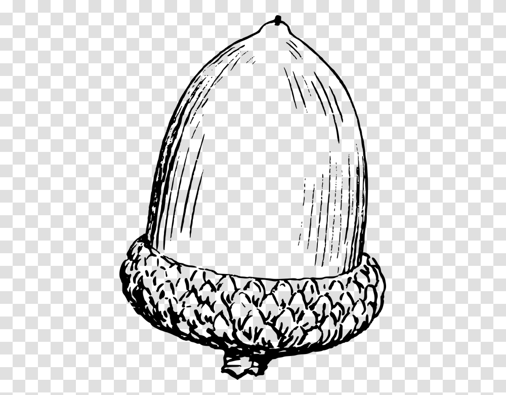 Nut Clipart Acorn, Gray, World Of Warcraft Transparent Png