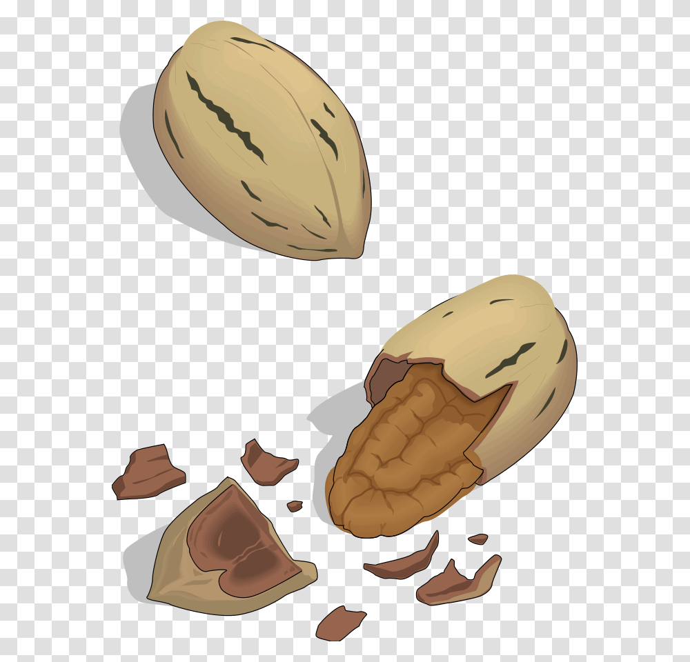 Nut Clipart, Plant, Vegetable, Food, Peanut Transparent Png