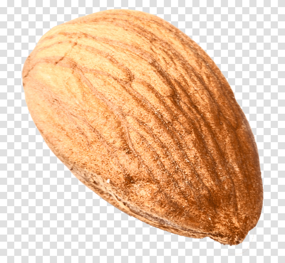 Nut Download Image, Plant, Bread, Food, Almond Transparent Png