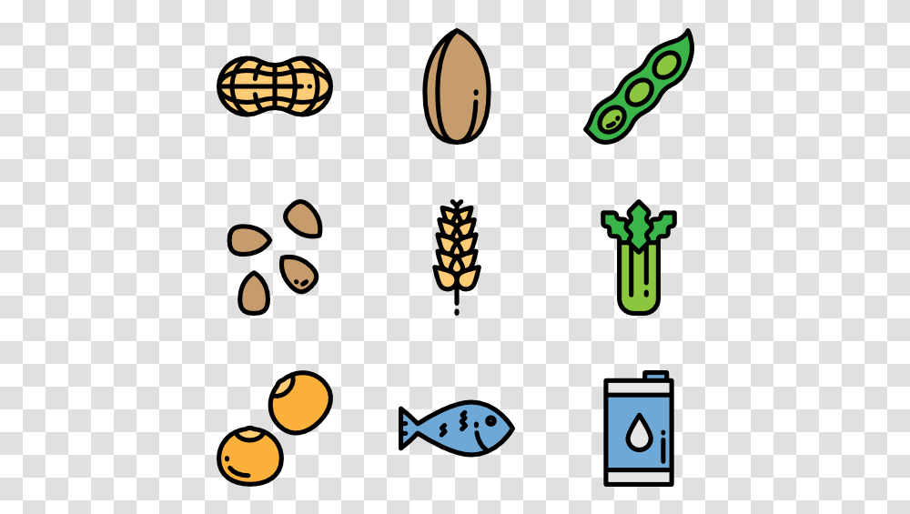 Nut Icon, Plant, Number Transparent Png