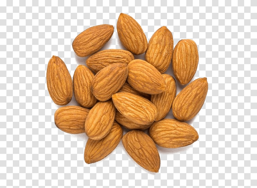 Nut Image Background, Almond, Vegetable, Plant, Food Transparent Png