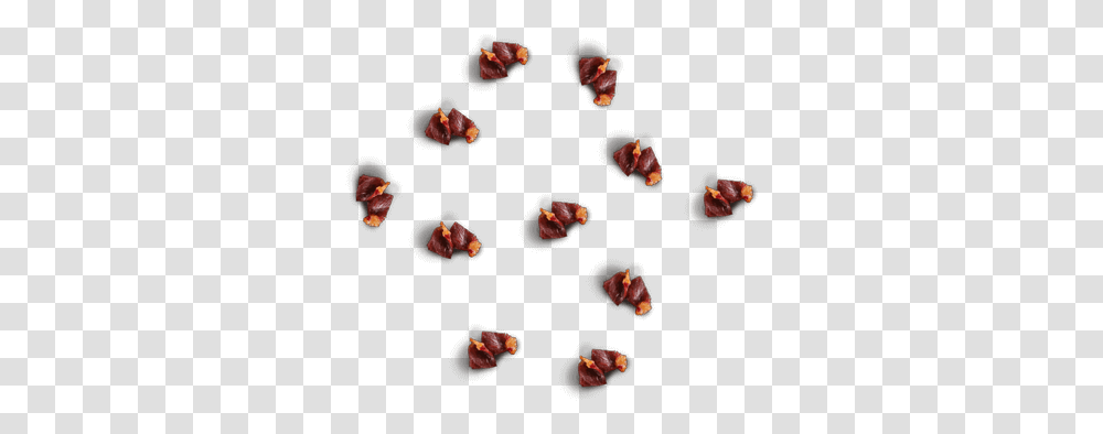 Nut, Person, Plant, Flower, Hand Transparent Png