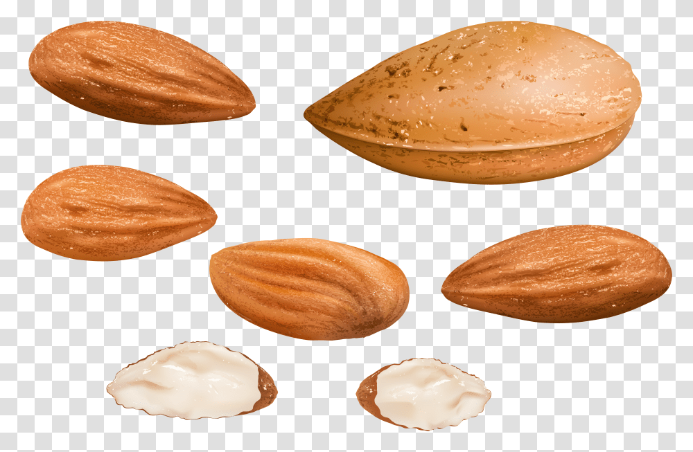 Nut Transparent Png