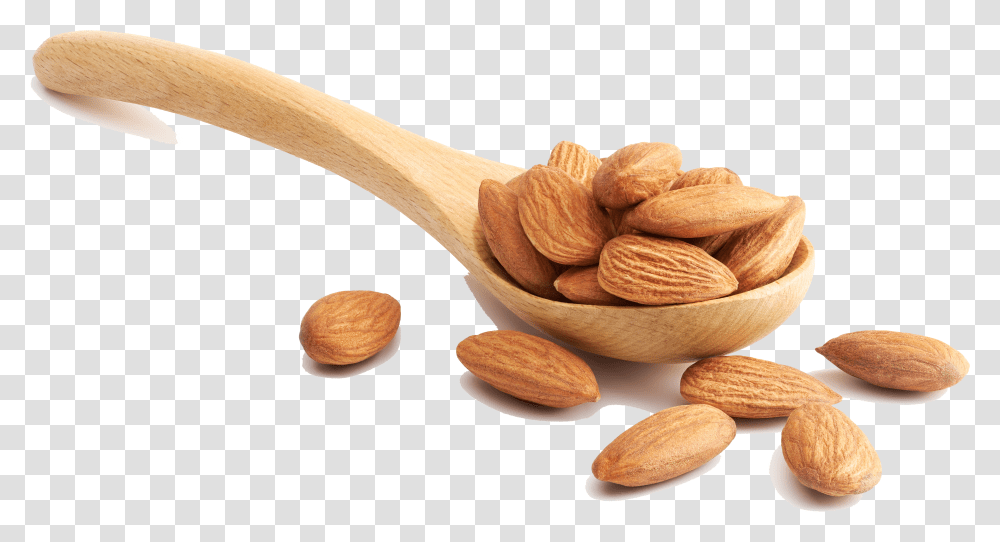 Nut Transparent Png