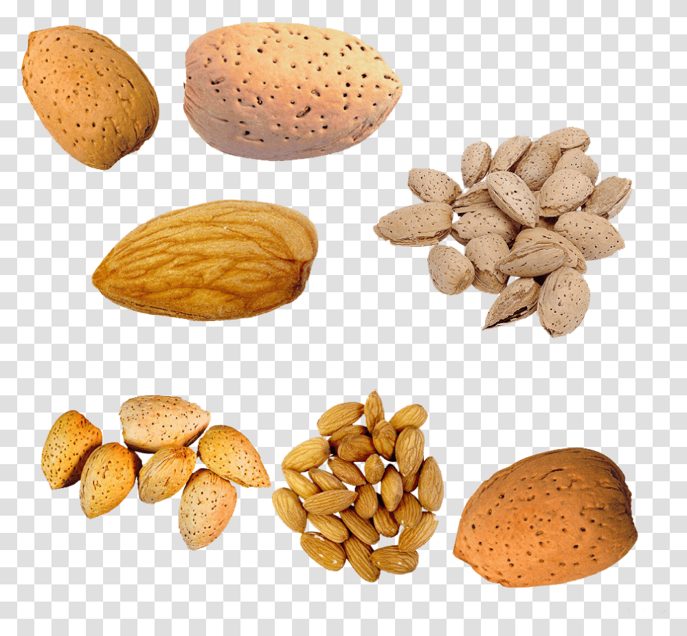 Nut U Cu Du Almond In Peach Nut, Vegetable, Plant, Food, Fungus Transparent Png