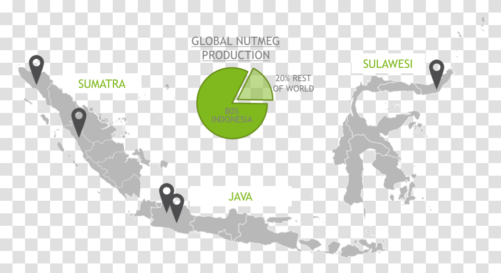 Nutmeg All Indonesia Map Vector, Outdoors, Urban, Nature Transparent Png