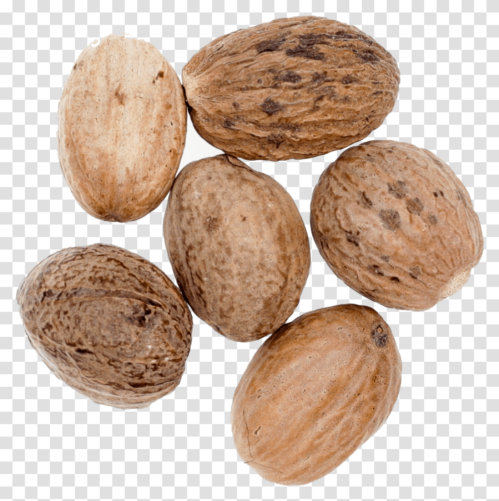 Nutmeg Nut, Plant, Walnut, Vegetable, Food Transparent Png