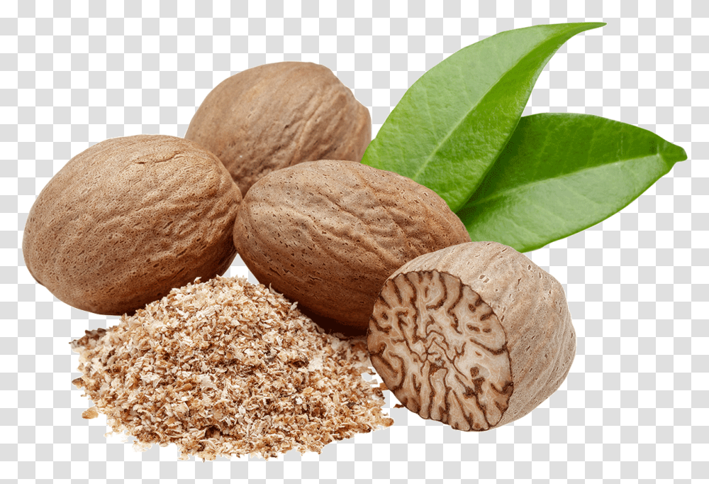 Nutmeg, Plant, Fungus, Vegetable, Food Transparent Png
