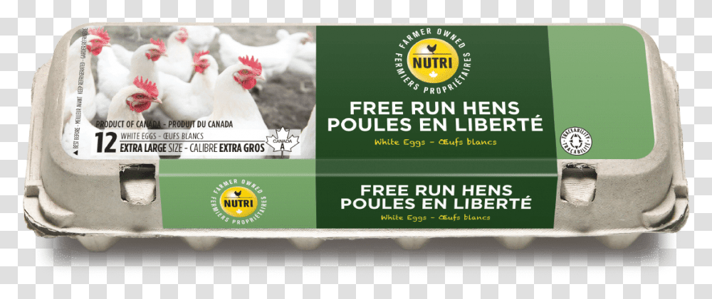 Nutrioeuf Products Free Run Hens 12xlw Free Run Eggs Canada, Fowl, Bird, Animal, Poultry Transparent Png