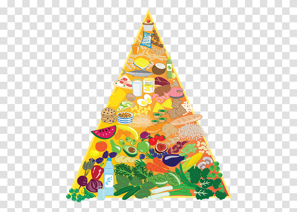 Nutrition Foodspa Christmas Tree, Clothing, Apparel, Plant, Triangle Transparent Png