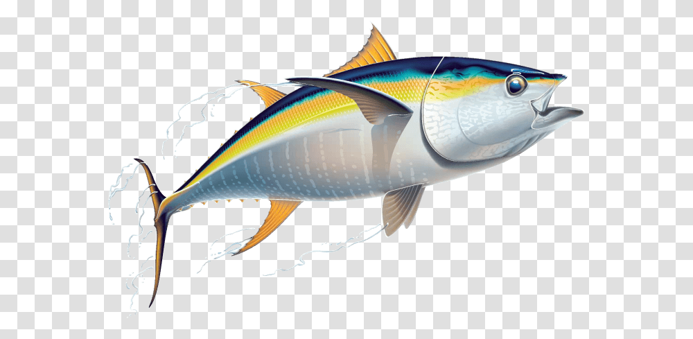 Nutrition, Tuna, Sea Life, Fish, Animal Transparent Png