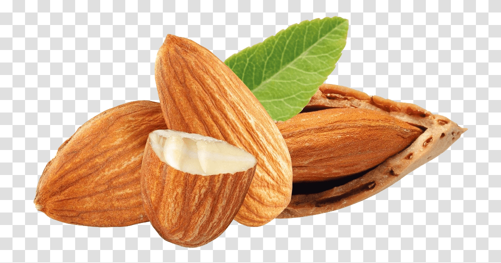 Nuts Almond Dried Fruit Frutos Secos, Vegetable, Plant, Food, Fungus Transparent Png