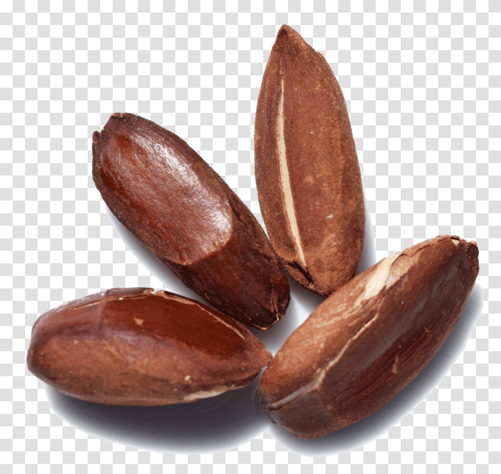 Nuts Amp Seeds, Plant, Vegetable, Food, Bread Transparent Png