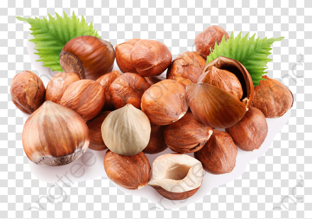 Nuts Chestnut, Plant, Food, Vegetable, Walnut Transparent Png