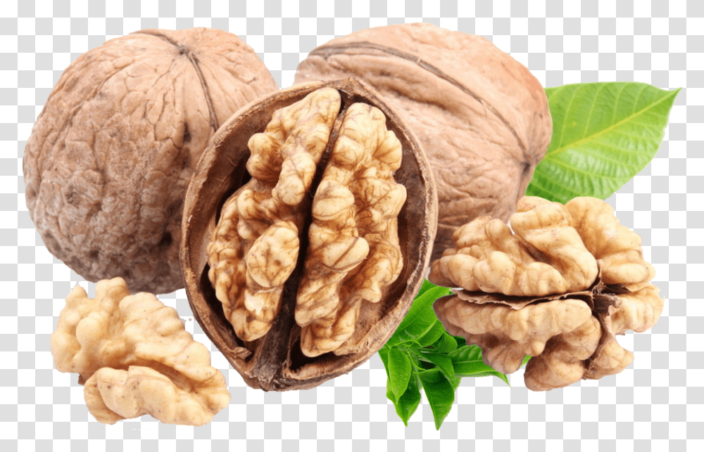 Nuts Fatty Walnut Clipart, Vegetable, Plant, Food, Fungus Transparent Png