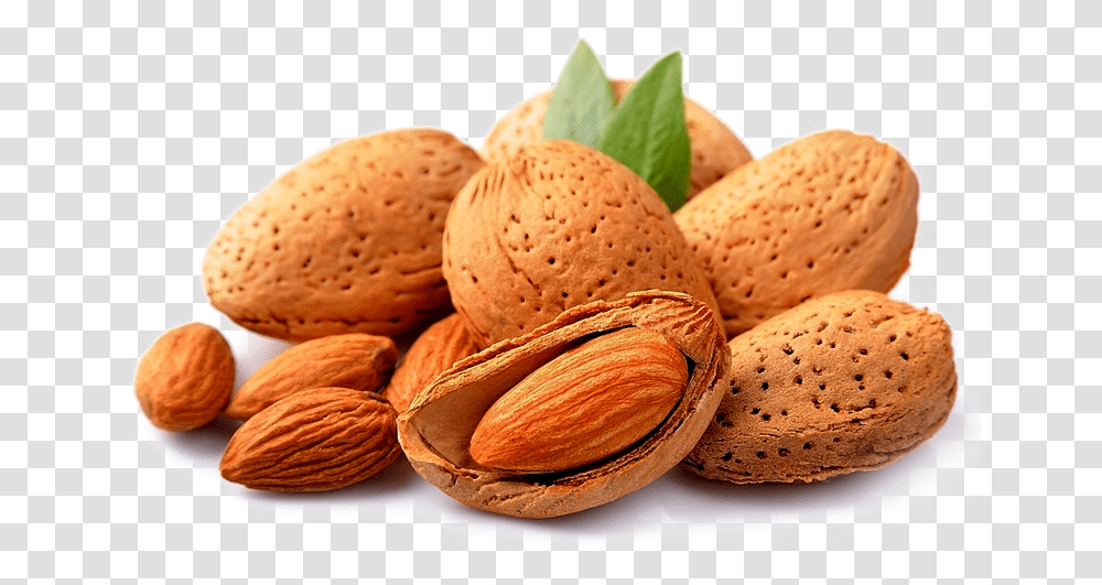 Nuts Fruit Nut Dry Fruits Hd, Plant, Almond, Vegetable, Food Transparent Png