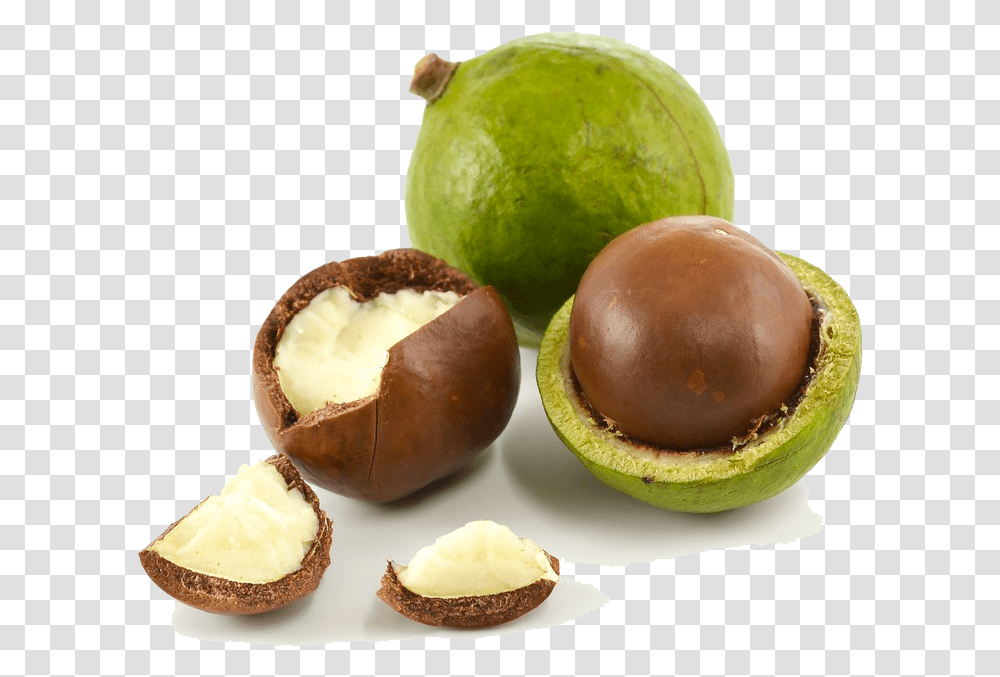 Nuts Macadamia, Plant, Vegetable, Food, Egg Transparent Png