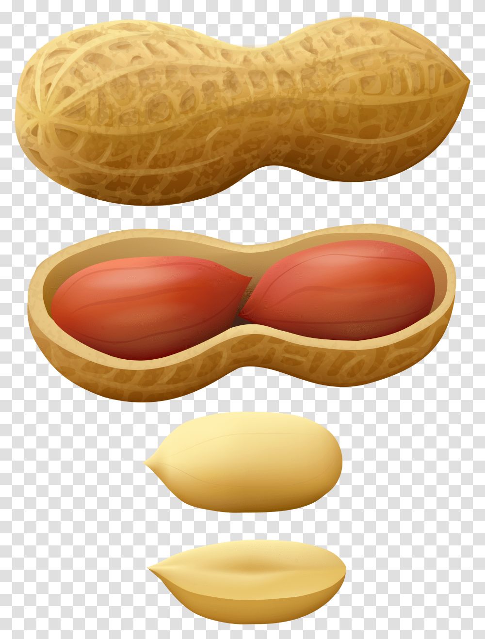 Nuts Vector Ground Nut Peanuts Clipart, Plant, Vegetable, Food Transparent Png