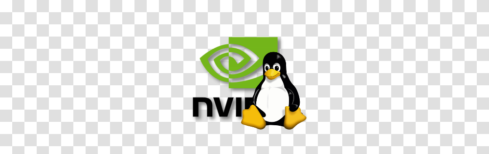 Nvidia Beta Support For Opencl Works On Linux Too, Penguin, Bird, Animal, King Penguin Transparent Png