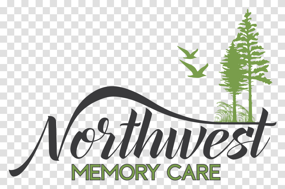 Nw Memory Care Open House & Ribbon Cutting Florence Area Calligraphy, Plant, Text, Tree, Vegetation Transparent Png