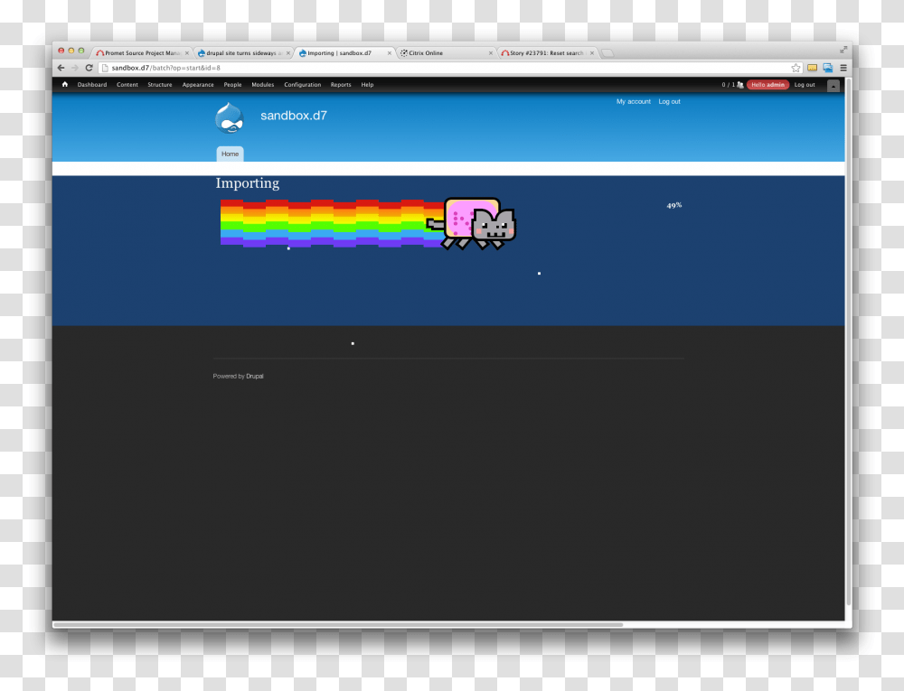 Nyan Cat, Electronics, Computer, Monitor, Screen Transparent Png