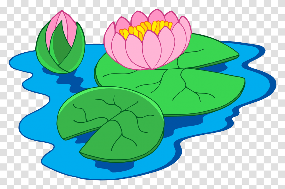 Nymphaea Alba Clip Art Clip Art Of Water Lily Water Lily Plant Clipart, Graphics, Label, Text, Rubber Eraser Transparent Png