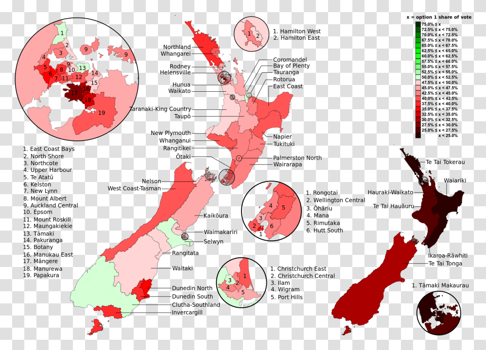Nz Electorate Map 2017, Plant, Leisure Activities, Dance Pose, Performer Transparent Png