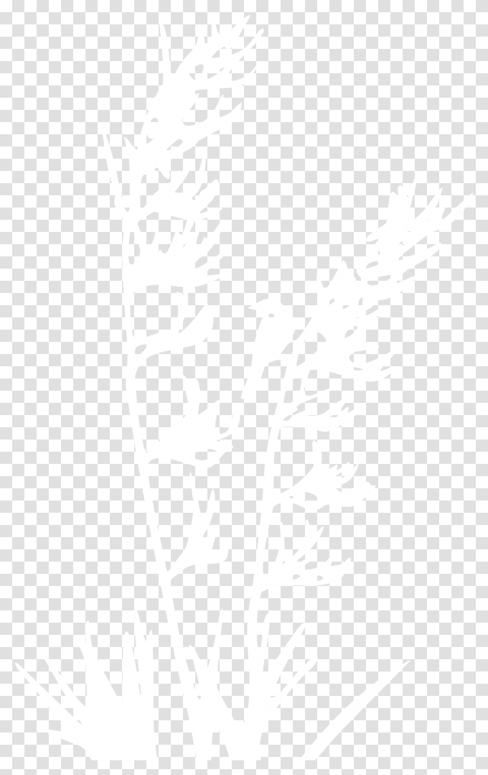 Nz Flax Plant Silhouette, White, Texture, White Board Transparent Png