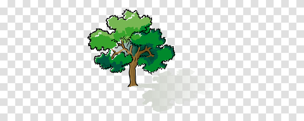 Oak Nature, Tree, Plant, Vegetation Transparent Png