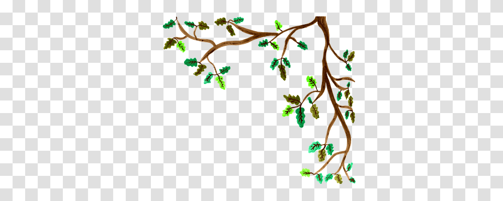 Oak Nature, Tree, Plant, Vegetation Transparent Png