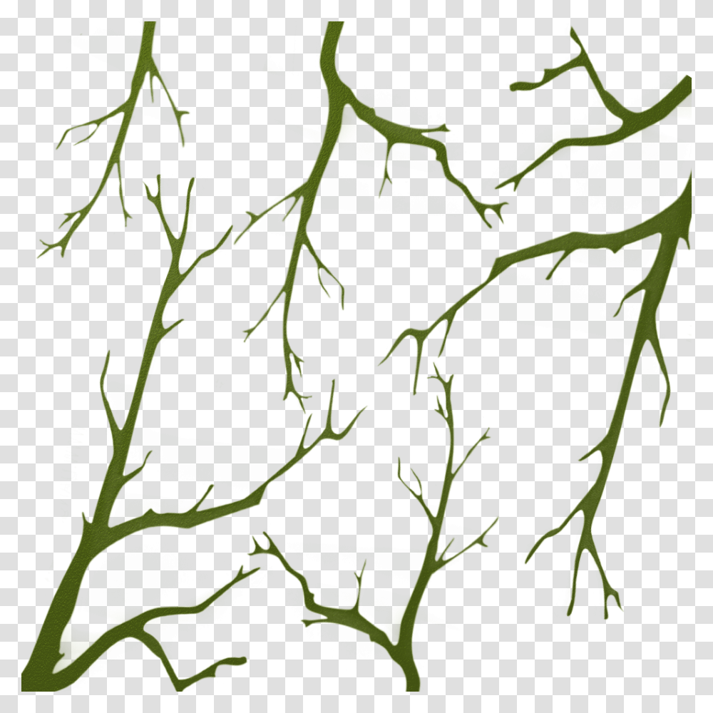 Oak Branches Camo Stencil, Plant, Leaf, Green, Vase Transparent Png