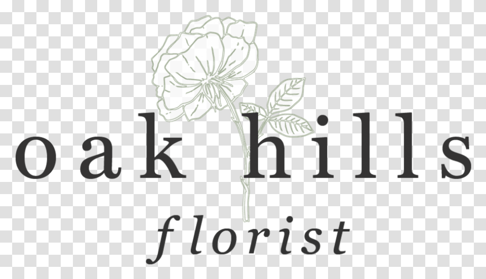 Oak Hills Florist Calligraphy, Plant, Flower, Blossom Transparent Png