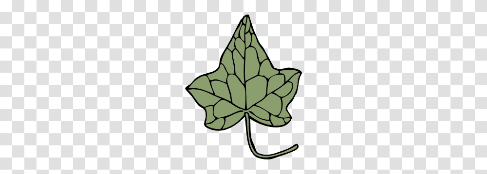 Oak Ivy Leaf Clip Art, Plant, Ornament, Tree, Pattern Transparent Png