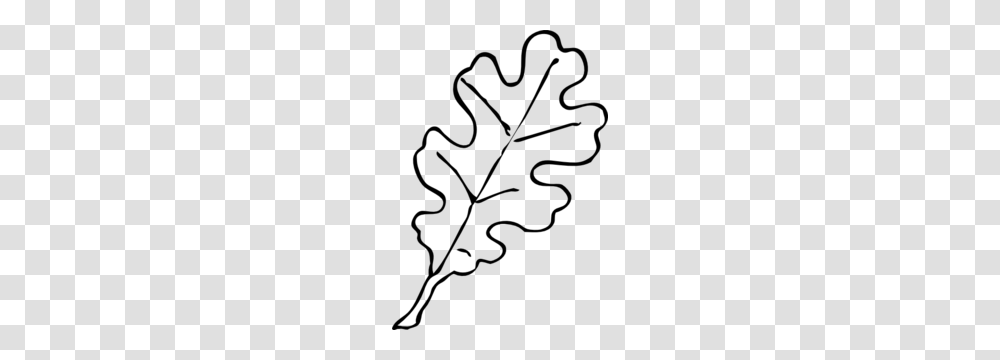 Oak Leaf Clip Art, Gray, World Of Warcraft Transparent Png