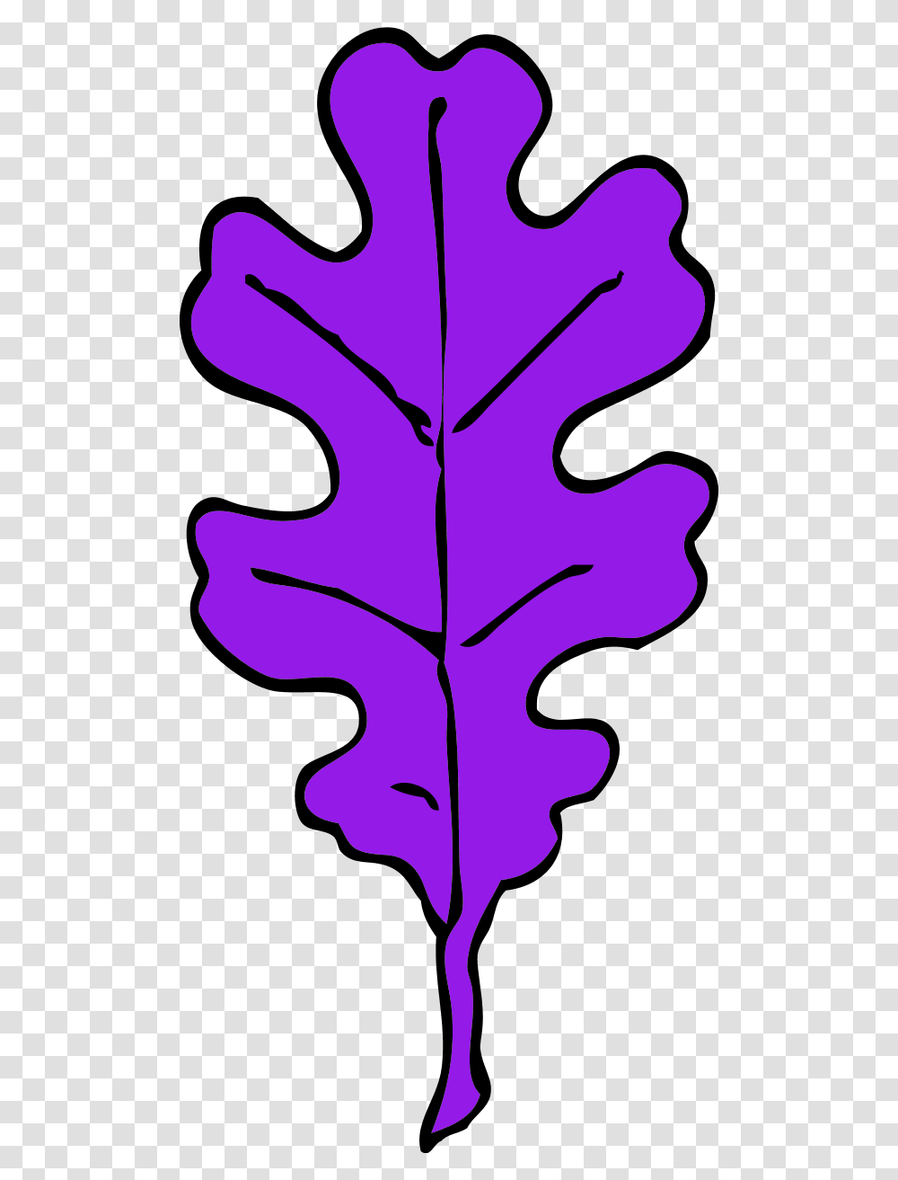 Oak Leaf Clip Art, Plant, Maple Leaf, Tree, Person Transparent Png