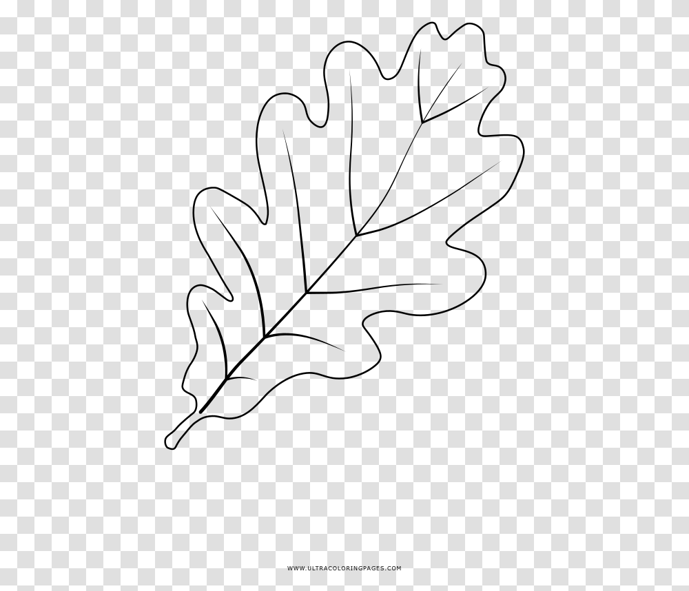 Oak Leaf Coloring, Gray, World Of Warcraft Transparent Png