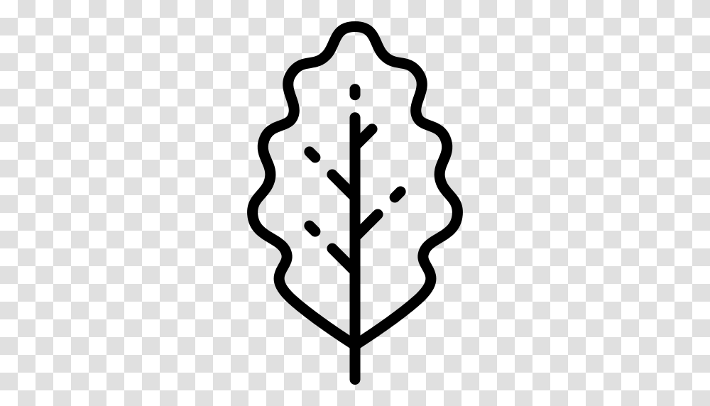 Oak Leaf Icon, Gray, World Of Warcraft Transparent Png