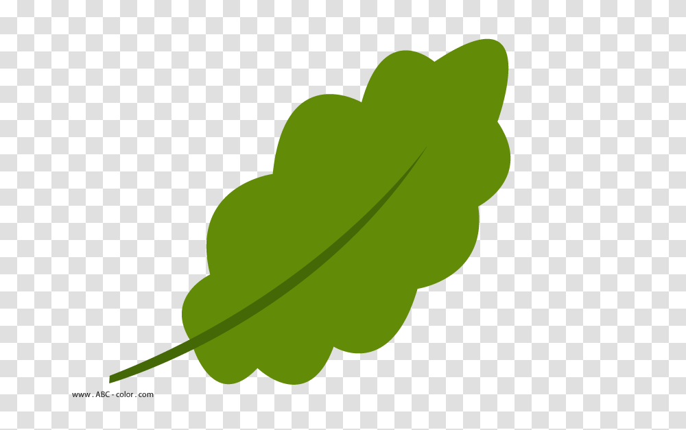 Oak Leaf Picture, Plant, Silhouette Transparent Png