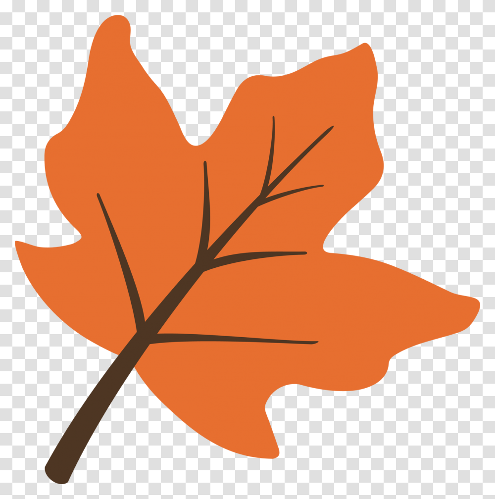 Oak Leaf, Plant, Maple Leaf, Tree, Bonfire Transparent Png