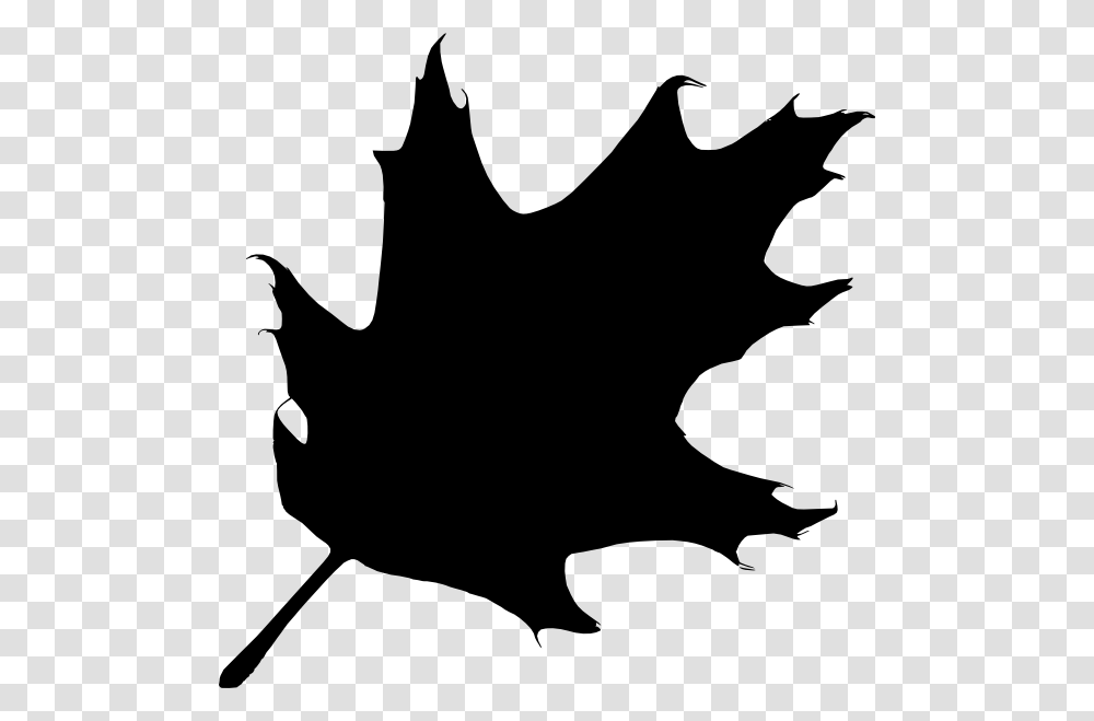 Oak Leaf Silhouette Clip Art, Plant, Maple Leaf, Tree Transparent Png